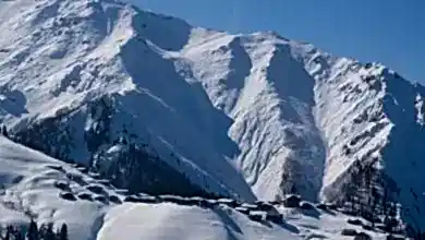 Karadeniz Kış Turizmi DOKA-kayaksever
