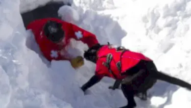 Kayak yaparken kaybolmayın