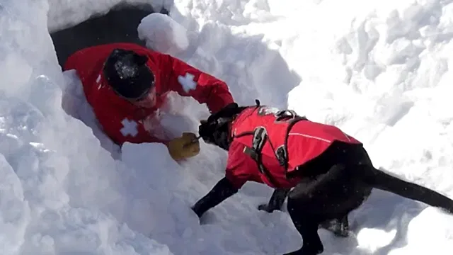 Kayak yaparken kaybolmayın