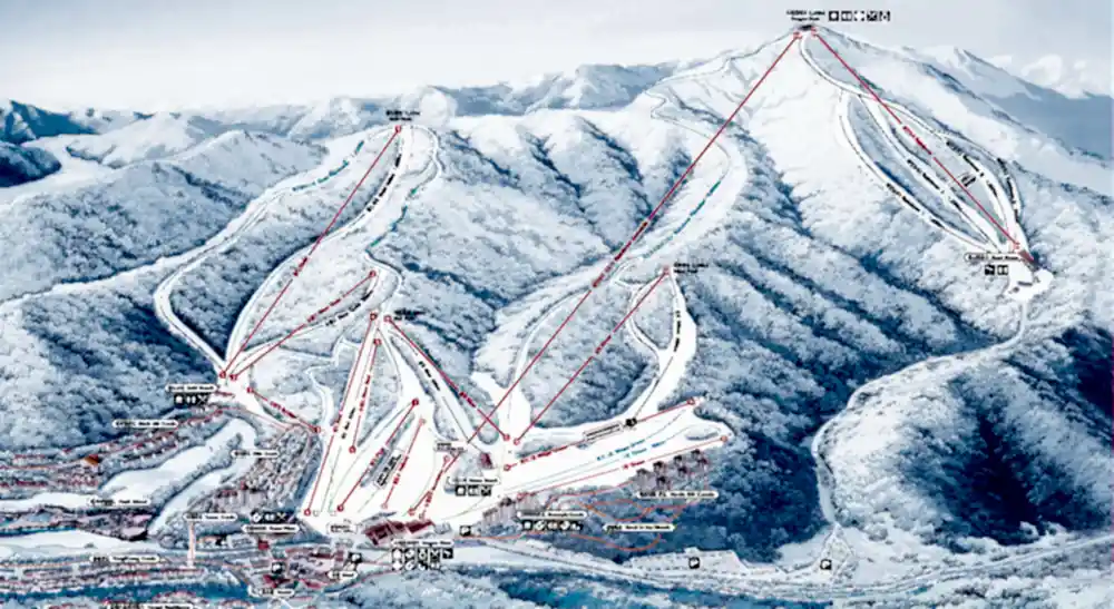 Pekin 2022 Kış Olimpiyatları